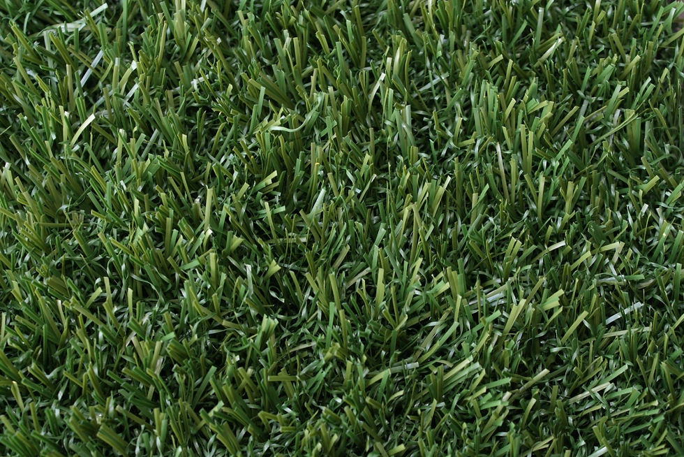 PASTO REAL GRASS -5%