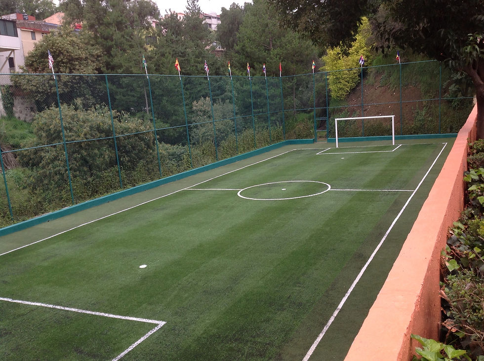 Pasto sintético deportivo