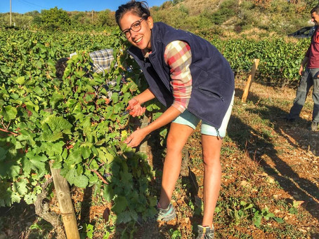 Newsletter Octobre 2019