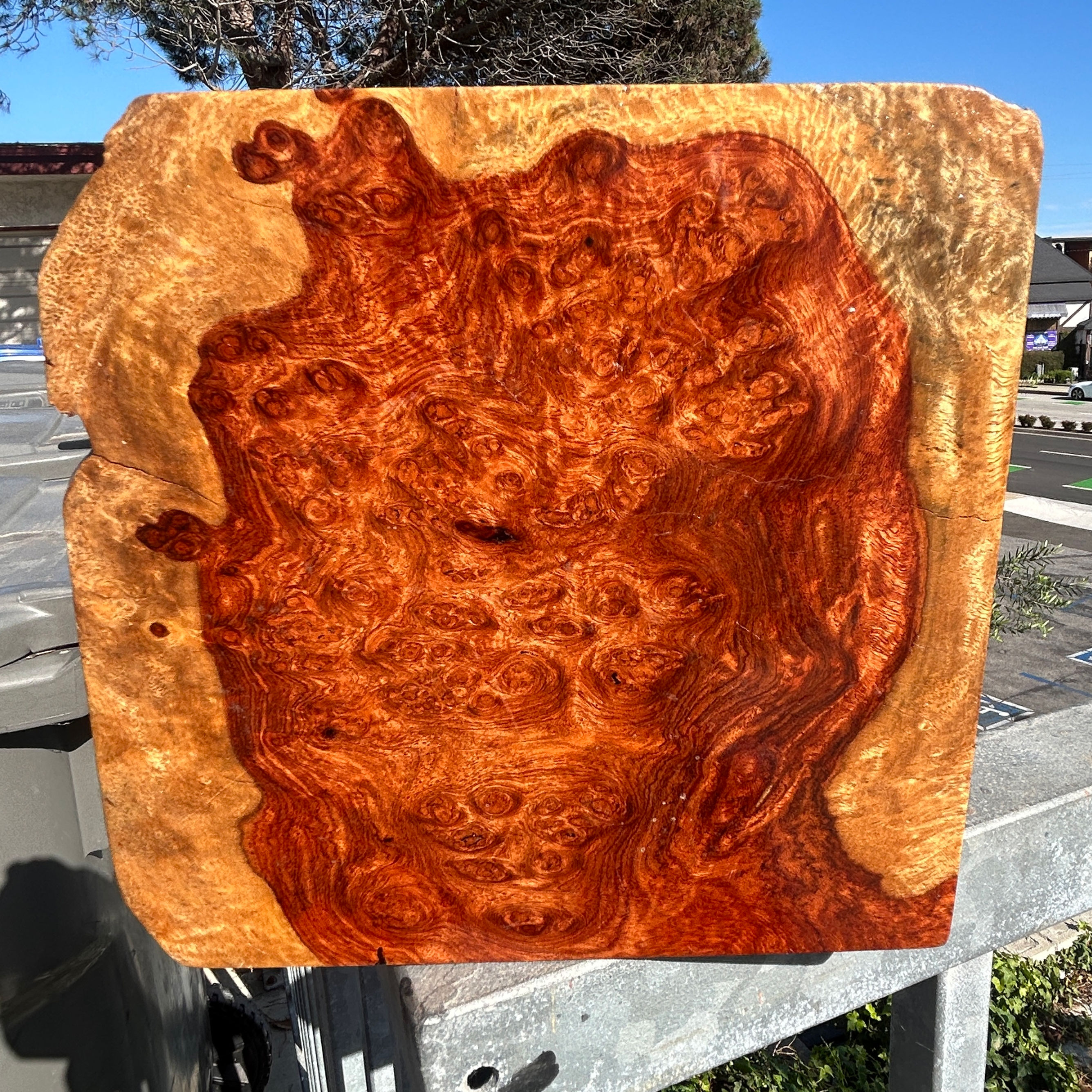 Amboyna Burl Figured Wood End Piece Knife Scales Pen Blanks - 6 1/2 x 6 1/4 x 3