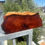 Thumbnail: Amboyna Burl Wood Pen Blanks Knife Scales Turning Blank 12” x 5” x 3 1/4"