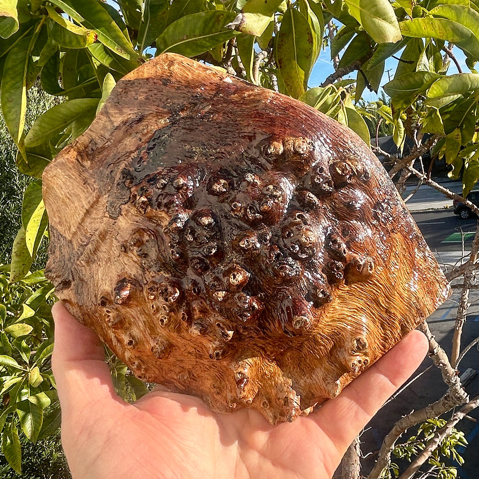 Thumbnail: Amboyna Burl Wood Pen Blanks Knife Scales Turning Blank 6 1/4" x 5 1/4" x 3"