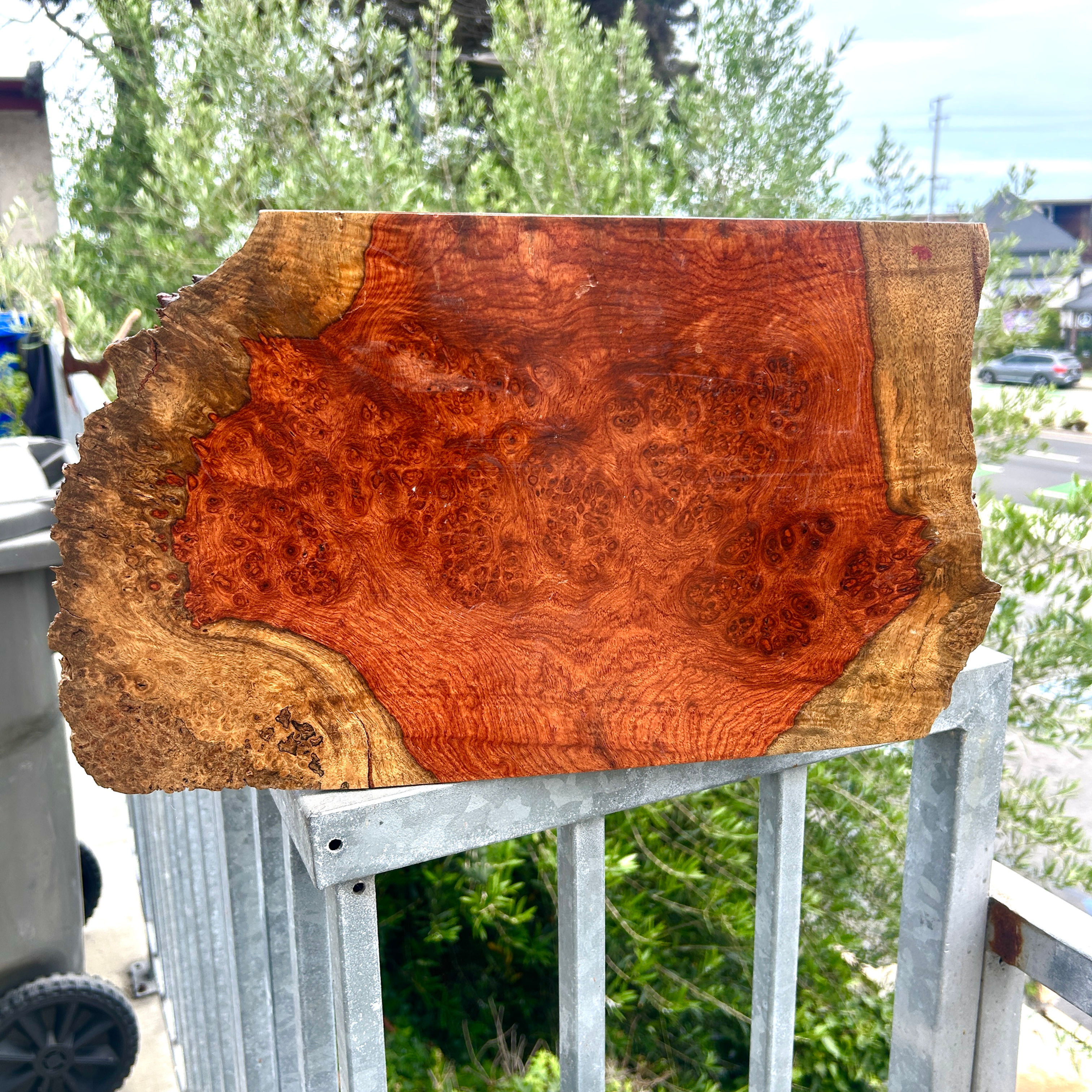 Amboyna Burl Wood Pen Blanks Knife Scales Turning Blank 18 1/2" x 9 1/2"