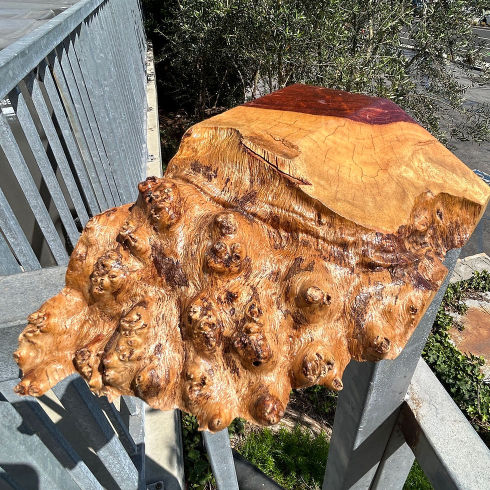 Thumbnail: Amboyna Burl Wood Pen Blanks Knife Scales Turning Block 8 1/2" x 5" x 2"