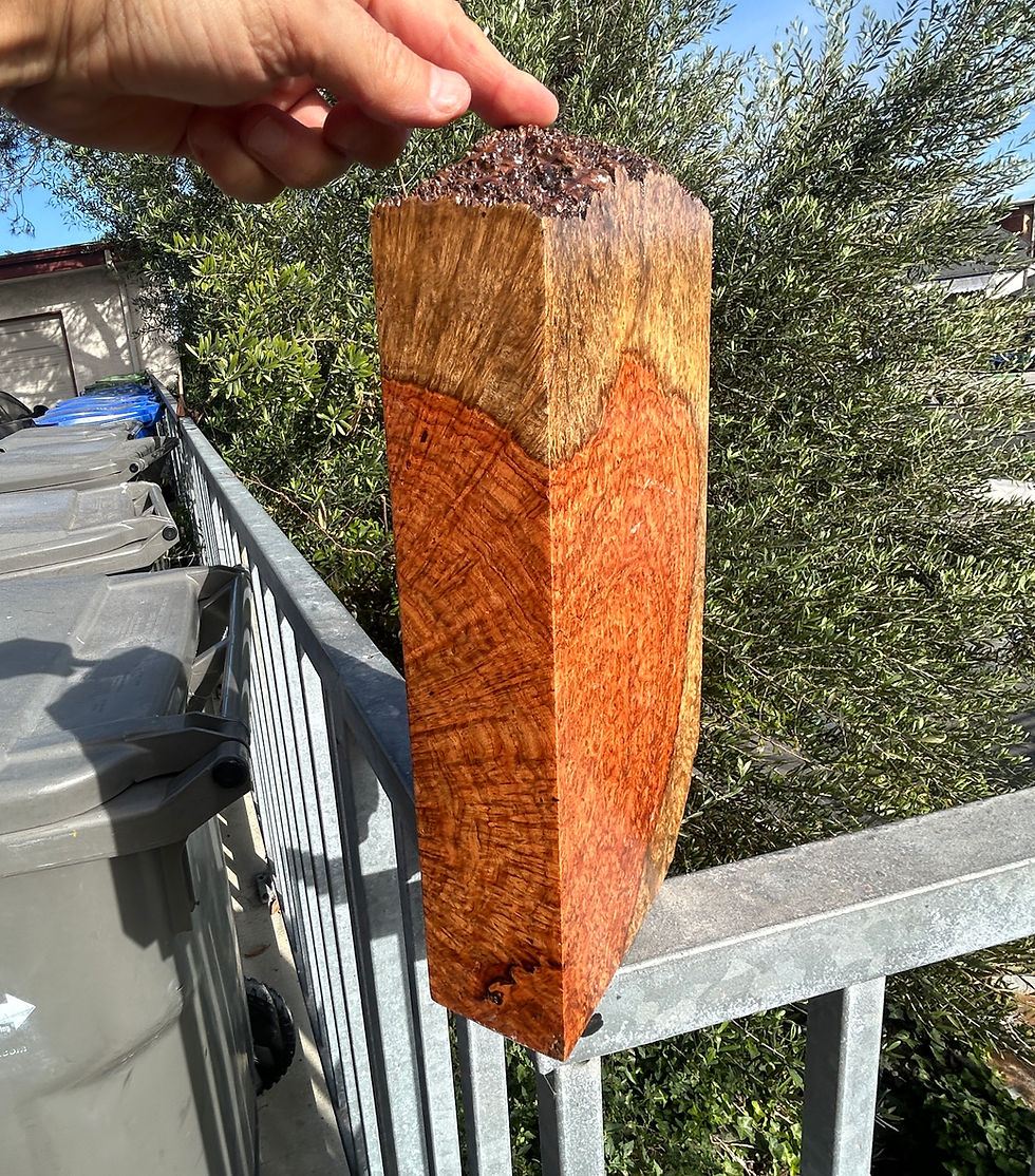 Thumbnail: Amboyna Burl Wood Pen Blanks Knife Scales Turning Blank 11" x 6" x 1 3/4"