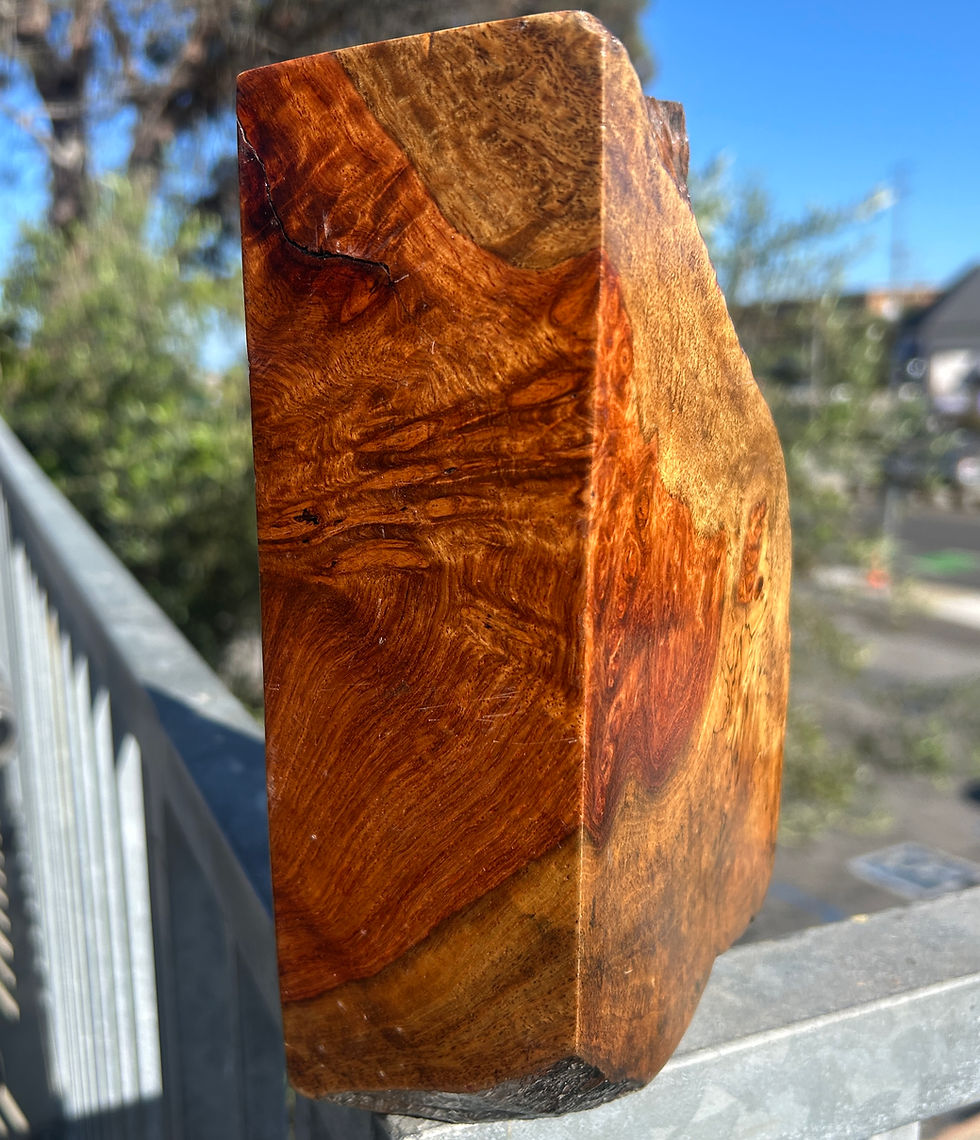 Thumbnail: Amboyna Burl Wood Pen Blanks Knife Scales Turning Block 8 1/2" x 4" x 3 3/4"