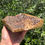 Thumbnail: Amboyna Burl Wood Pen Blanks Knife Scales Turning Blank 6” x 5 7/8” x 1 3/4"
