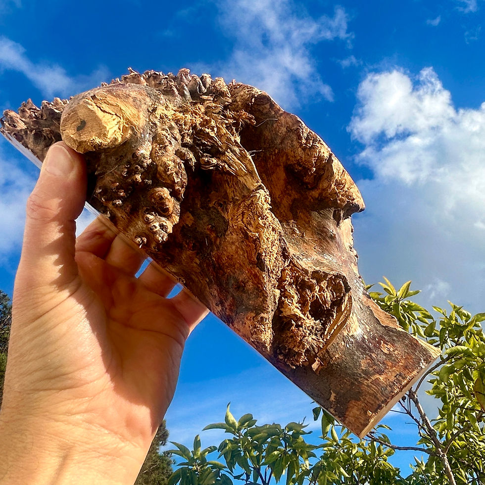 Thumbnail: Amboyna Burl Wood Pen Blanks Knife Scales Turning Blank 12 1/2" x 3 3/4" x 4 1/2