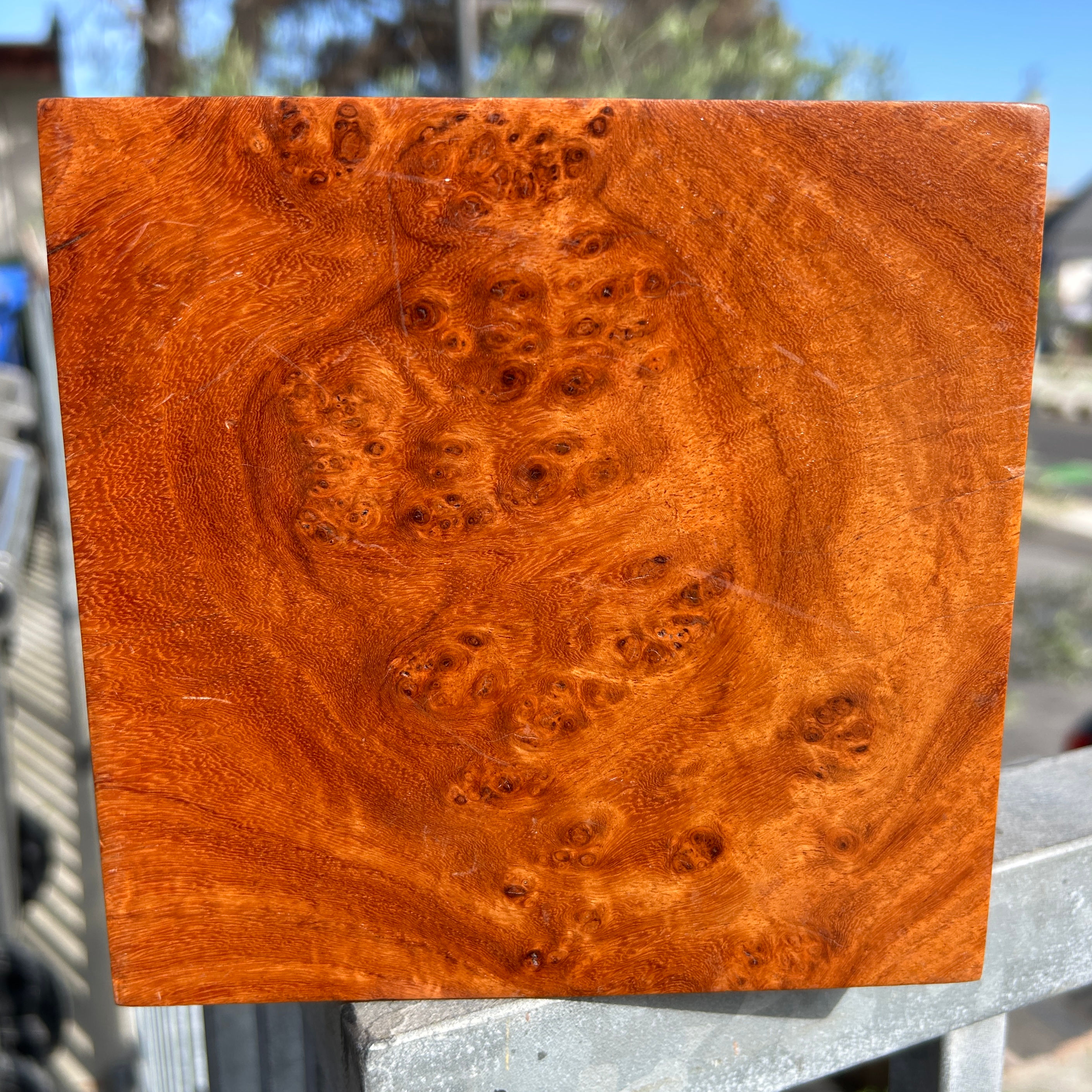Amboyna Burl Wood Pen Blanks Knife Scales Turning Block 6 1/4" x 6" x 2 3/4"