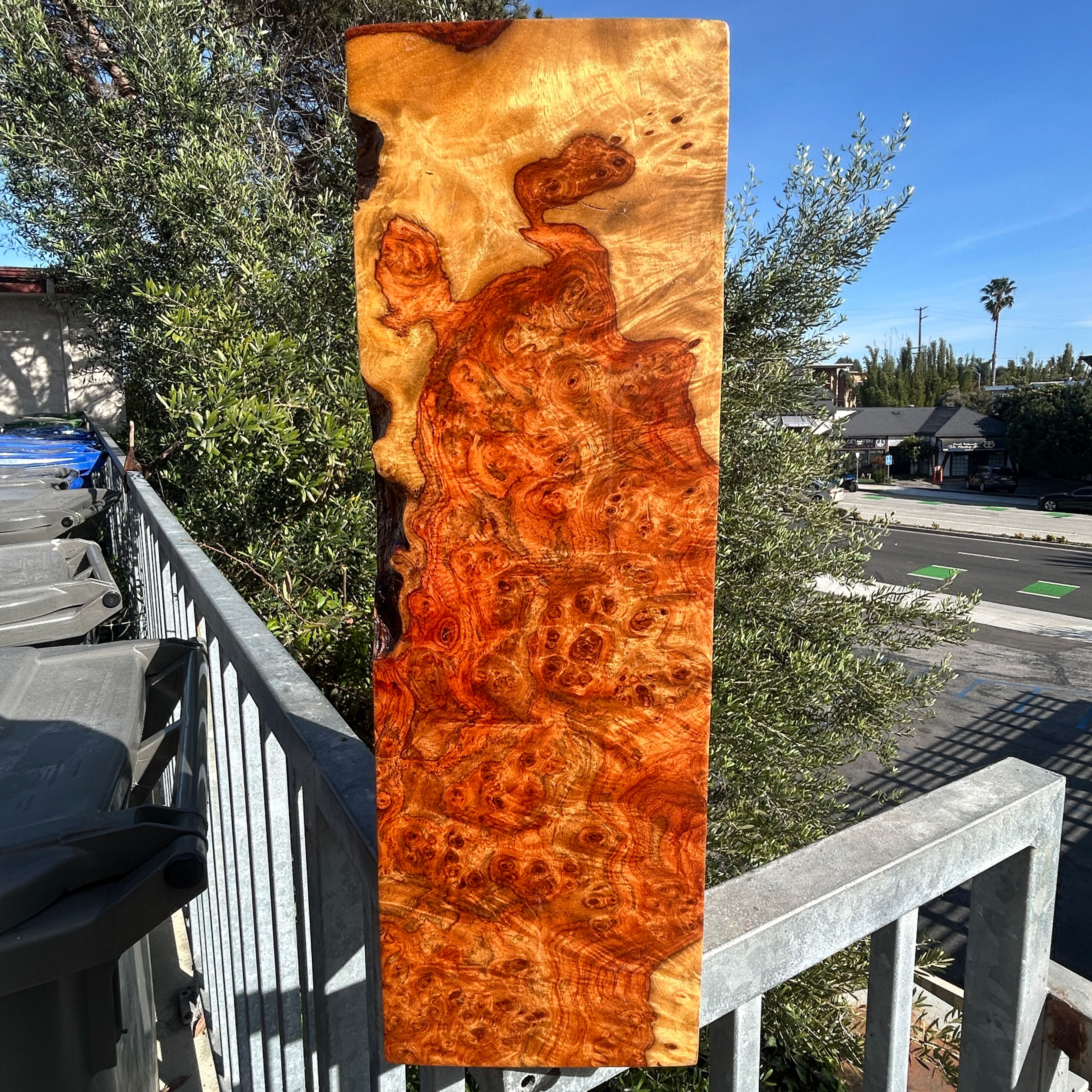 Amboyna Burl Wood Pen Blanks Knife Scales Turning Blank 14 7/8" x 6" x 4 7/8"