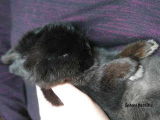 helllooo cuteness ALERT!