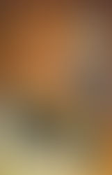 How do Netherlands mature????