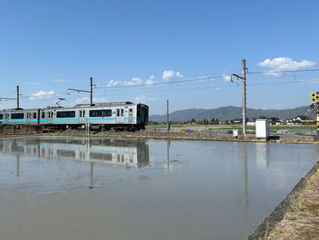 『田んぼ』20260420