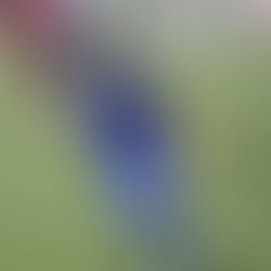 『長野県 U-18 サッカーリーグ 2025 3部第1節』20250405