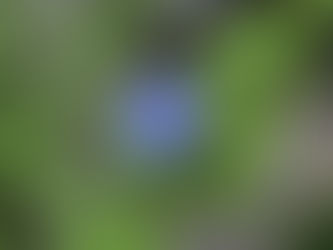 今日から9月 20200901