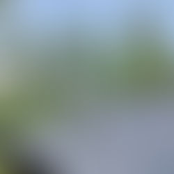 『八ヶ岳の家』現場状況 20250620