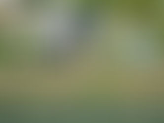 分散登校　20200514