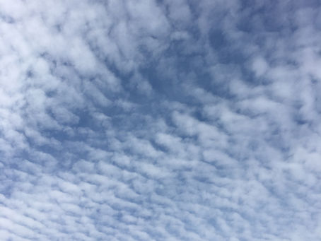 いわし雲 20201126