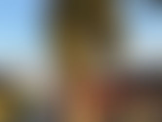 『稲荷社例祭』20260320