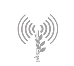 IDF spoke l gray Tr.png
