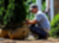 IMG_4314_edited.jpg
