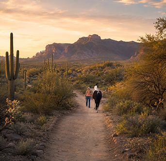 Spirit Path Equine Healing Cave Creek, Arizona