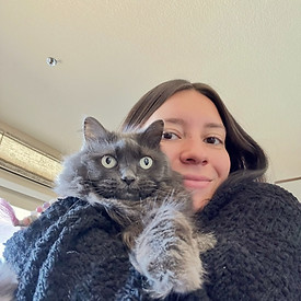Dog Cat House Sitting