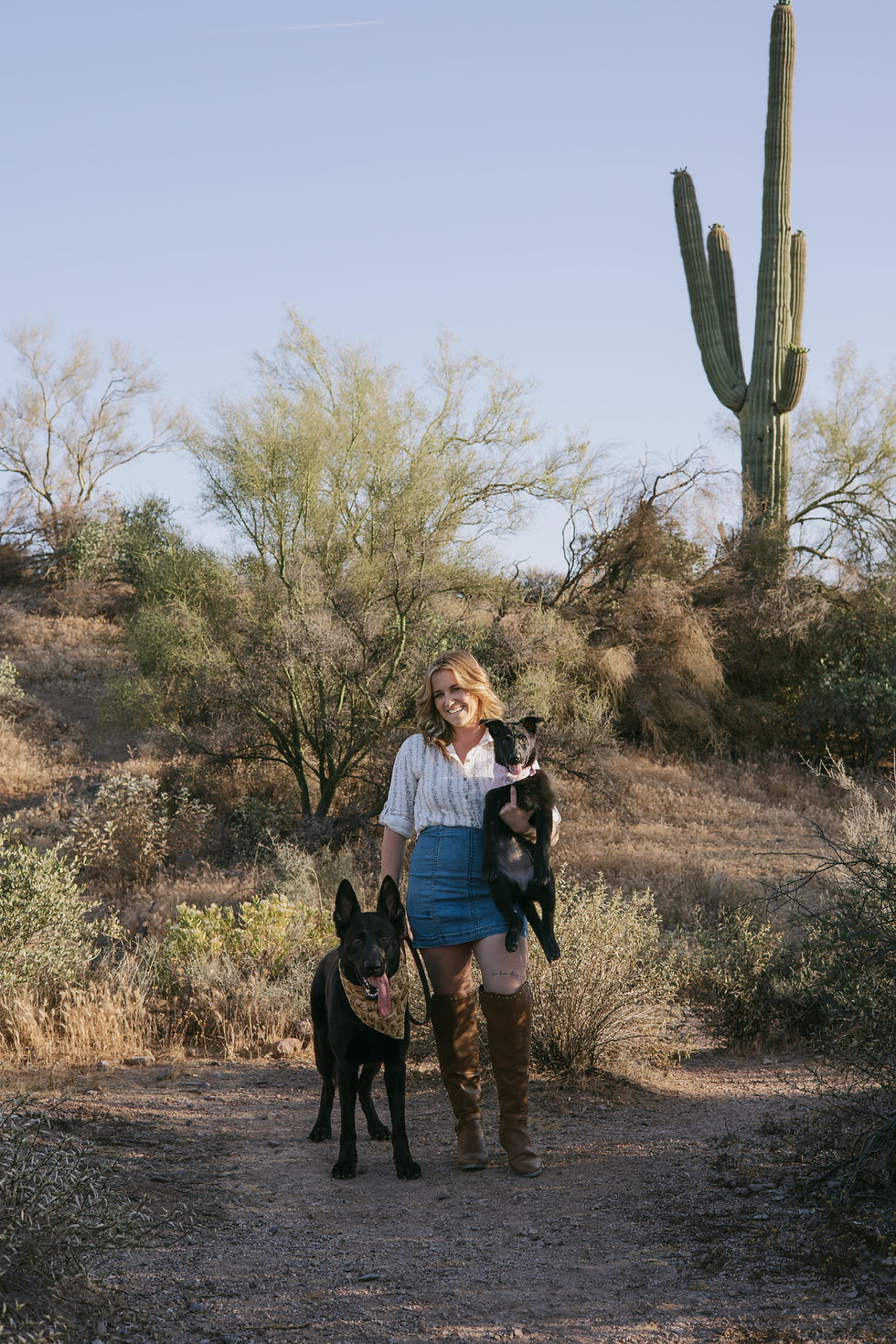 Phoenix Scottsdale Dog Trainer Boarding