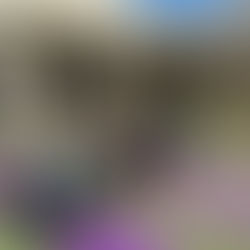 Private Couples Partner Yoga in Scottsdale Arizona