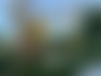 Scottsdale Corporate Yoga Retreat