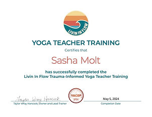15 hr Trauma Informed YTT