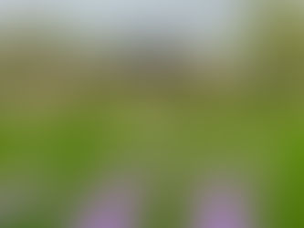 How Our New Booking Process Makes Scheduling Your Mobile Scottsdale Yoga Class Even Easier