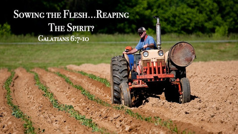 Sowing The Flesh...Reaping The Spirit?