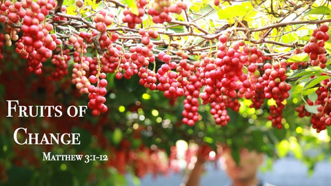 Fruits of Change, Part 2
