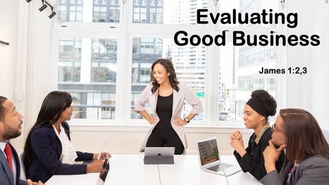 Evaluating Good Business