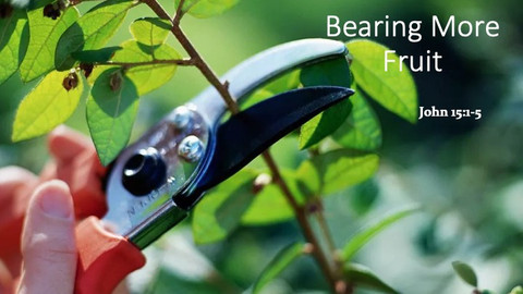 Bearing More Fruit