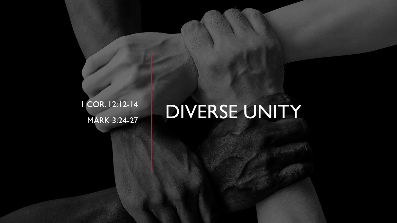 Diversity Unity diversity-unity