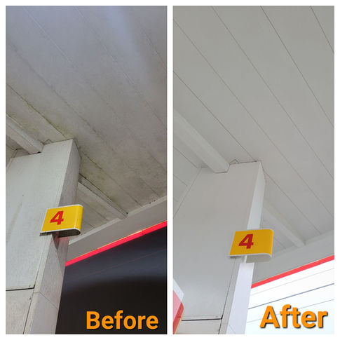 Shell beforeafter 1.jpeg