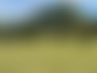 The re-wilding continues