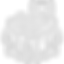 Icon use for website