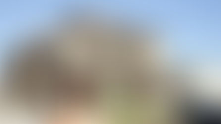 近日公開予定