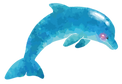 いるか