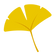 いちょう