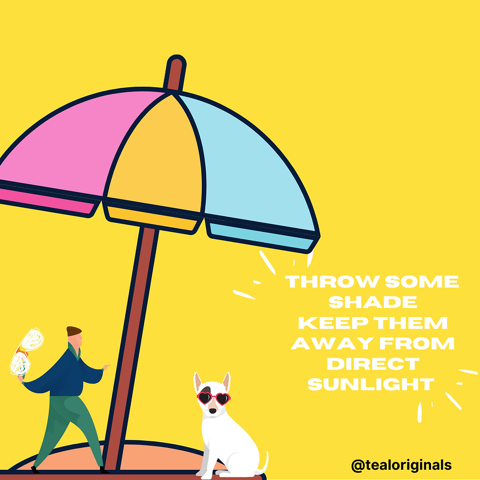 Dog comics