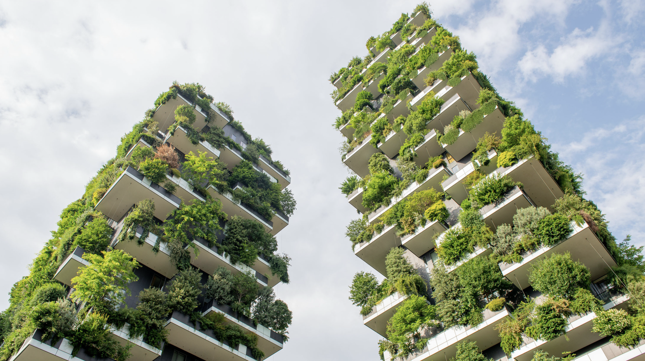 City Funds and the Net Zero Transition: Accelerating Urban Climate Finance through Local Investment Vehicles