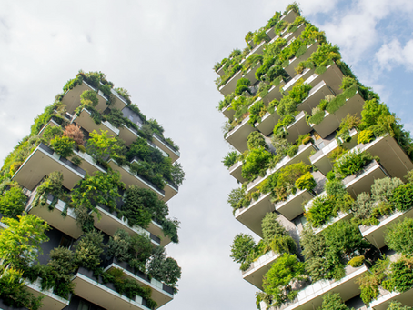 City Funds and the Net Zero Transition: Accelerating Urban Climate Finance through Local Investment Vehicles