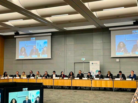 BwB at OECD Urban Days 2025: Financing Cities for a Resilient Future