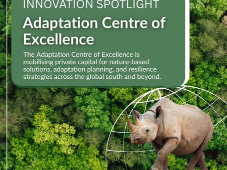  Innovation Spotlight | BwB Adaptation Centre of Excellence