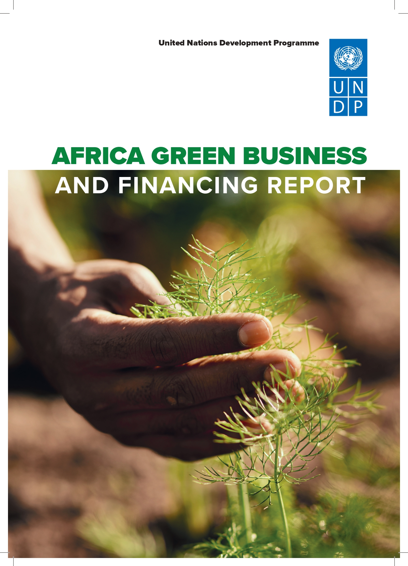 Report: Africa Green Business and Financing