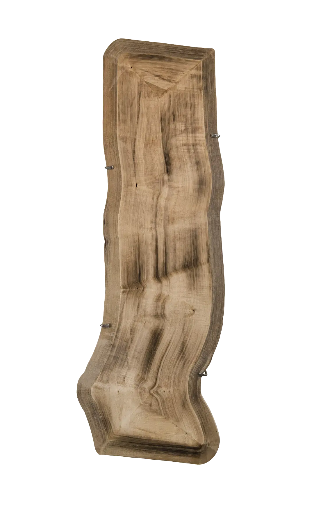 Tronc d'arbre sculpté, détails de l'écorce naturelle, en gros plan, avec nuances.